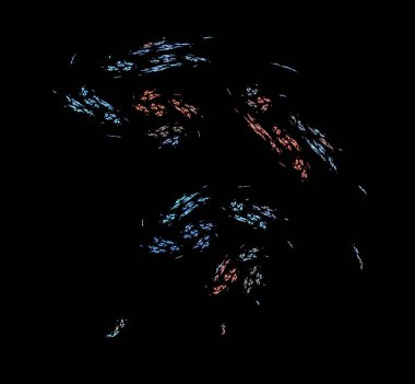 Dijital fraktal resimlerinden birinin resmi