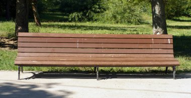 Kuru güneşli yaz gününde parkta bank