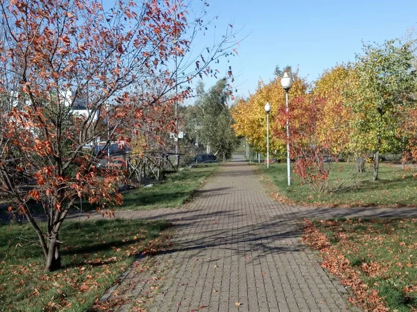 Automne Dans Parc Ville Par Temps Sec Ensoleillé — Photo