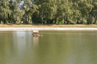 Şehir parkında yaz güneşli bir günde