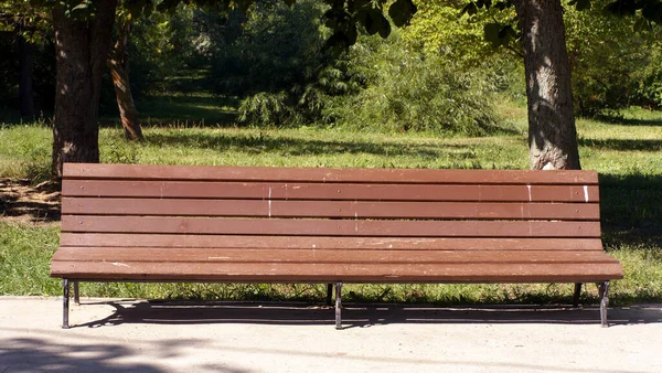 Banc Dans Parc Sec Ensoleillé Journée Été — Photo