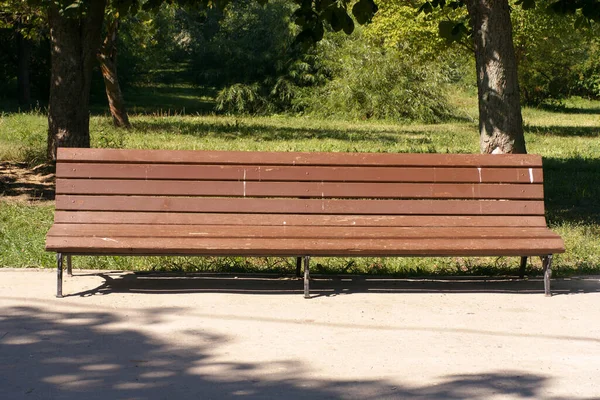 夏の晴れた日に公園のベンチ — ストック写真