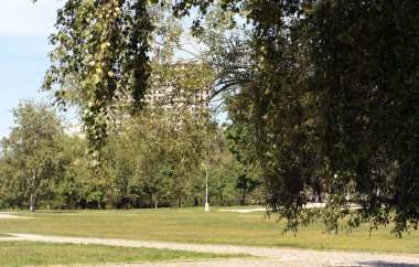 Parkta yol güneşli yaz gününde