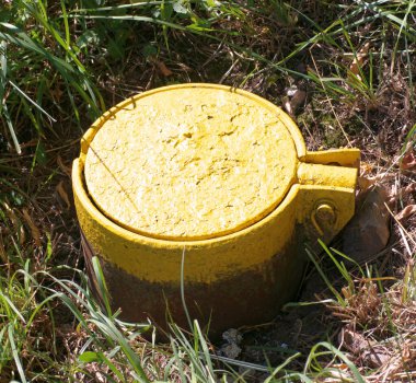 Kuru ve güneşli yaz gününde sarı gaz çıkışı.