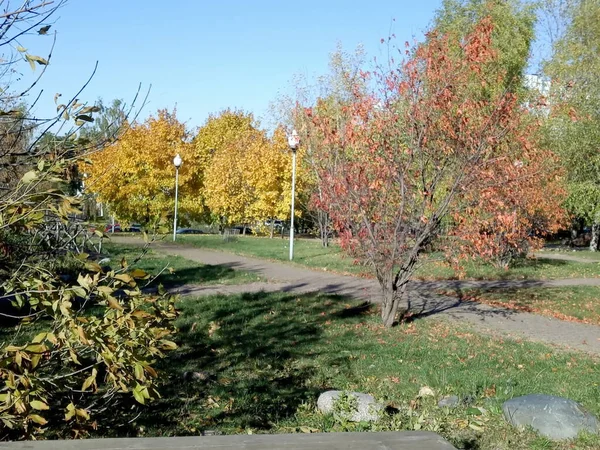 Höst Staden Del Torr Solig Dag — Stockfoto