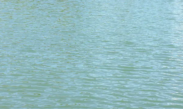 Ondulazione Sull Acqua Nel Laghetto Del Parco Cittadino Secco Giornata — Foto Stock