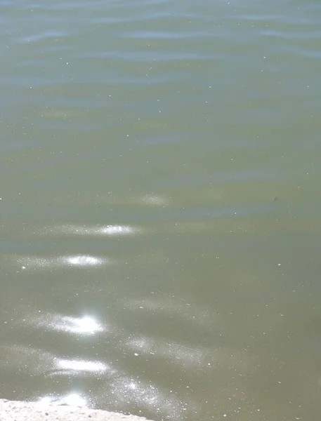 Glare Water City Park Pond Dry Sunny Summer Day — Stock Photo, Image