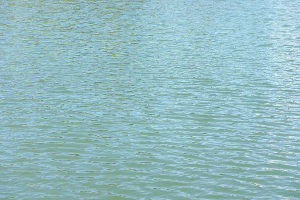 Ripple Water City Park Pond Dry Sunny Summer Day — Stock Photo, Image