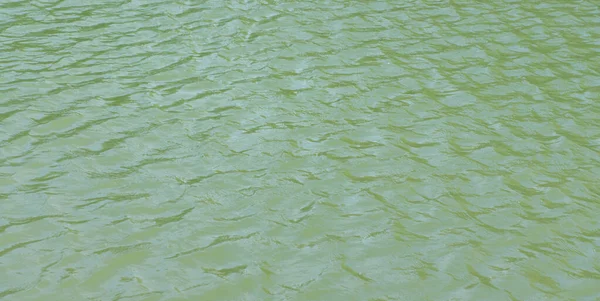 在阳光明媚的干燥夏日 城市公园池塘里的水面上泛起涟漪 — 图库照片