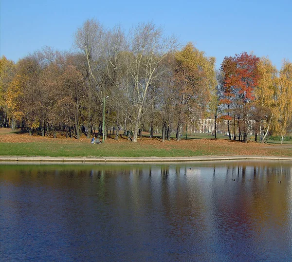Park Miejski Złocie Jesień Październik Ranek — Zdjęcie stockowe