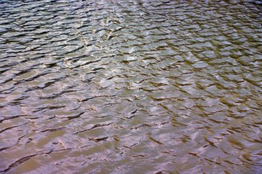 Güneşli yaz gününde, şehir parkındaki gölette dalgalanma.