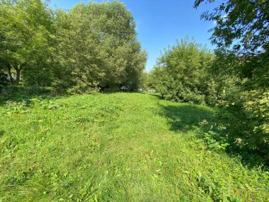 Şehir parkında yaz güneşli bir günde