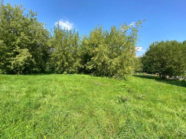 Şehir parkında yaz güneşli bir günde