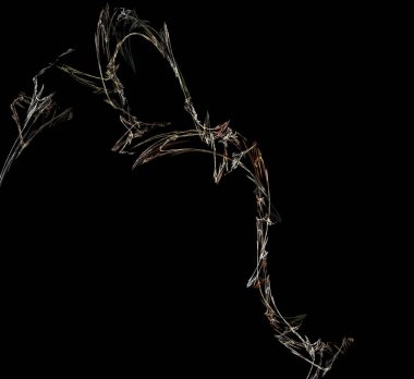 Dijital fraktal resimlerinden birinin resmi