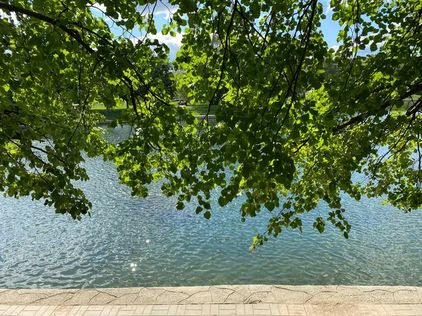 Şehir Parkında Yaz Güneşli Bir Günde — Stok fotoğraf