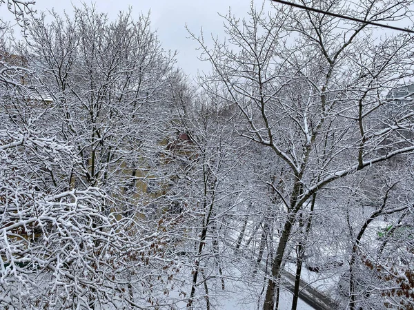 Зима Городском Дворе Пасмурный День — стоковое фото