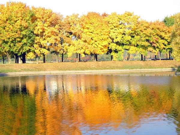 Podzim v městském parku — Stock fotografie