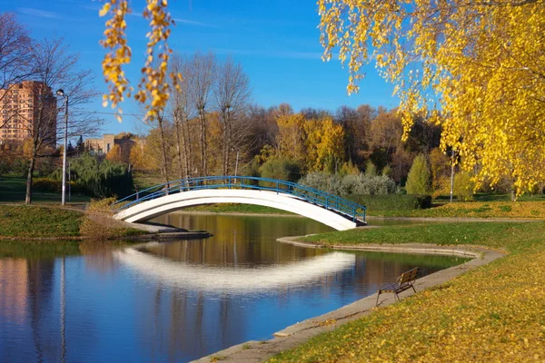 Autunno nel parco cittadino — Foto Stock