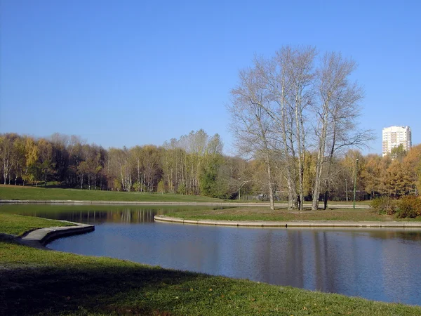 Park w upadku złota — Zdjęcie stockowe