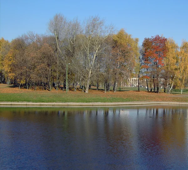 Park im Goldfall — Stockfoto