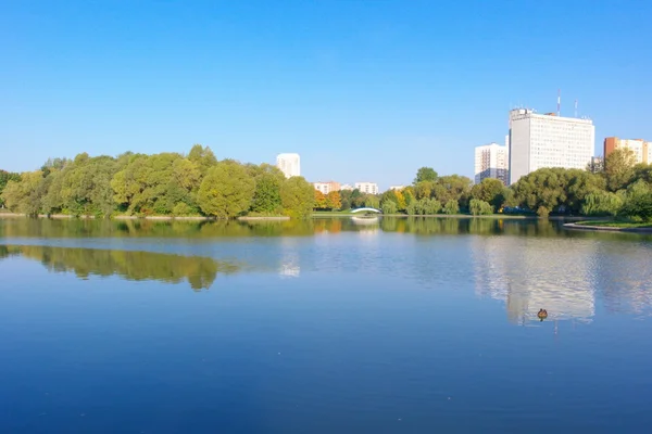 Літо в міському парку — стокове фото