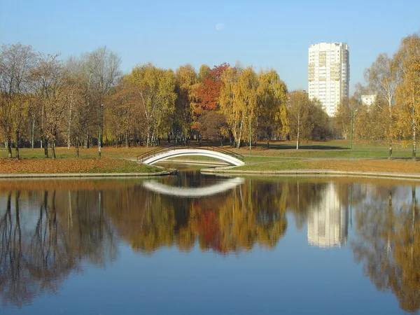 Park ve zlatém podzimu — Stock fotografie