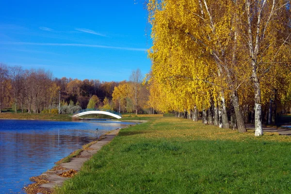 Осень в парке — стоковое фото