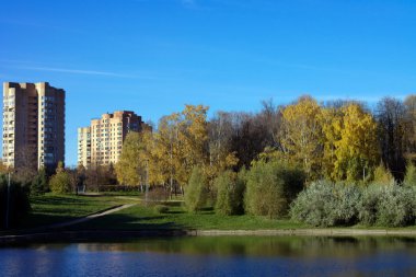 Sonbaharda altın park