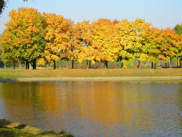 Jesień w parku miejskim — Zdjęcie stockowe
