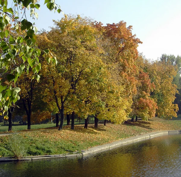 Autunno nel parco cittadino — Foto Stock