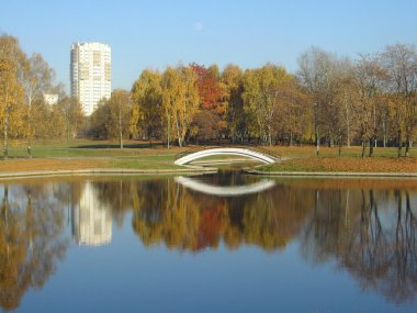 Sonbaharda altın park