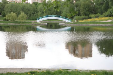 Şehir parkında bahar