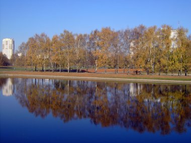 Sonbaharda altın park