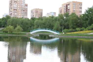 Şehir parkında bahar