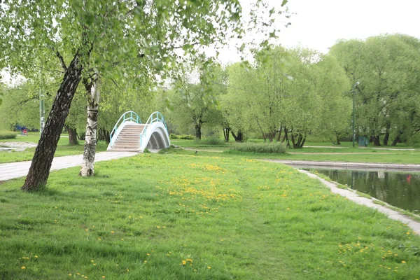 Primavera nel parco cittadino — Foto Stock