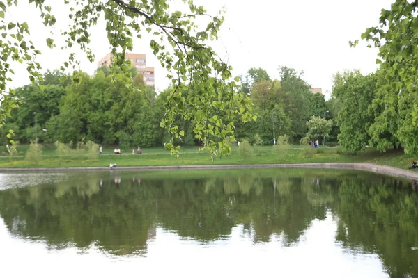 Parque de verano en el día —  Fotos de Stock