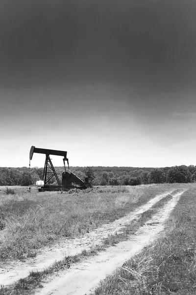 Pompa per pozzi petroliferi . — Foto Stock