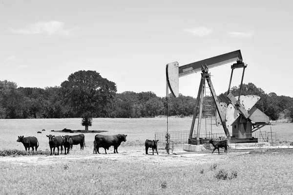 Texas pozzo petrolifero pompatore . — Foto Stock