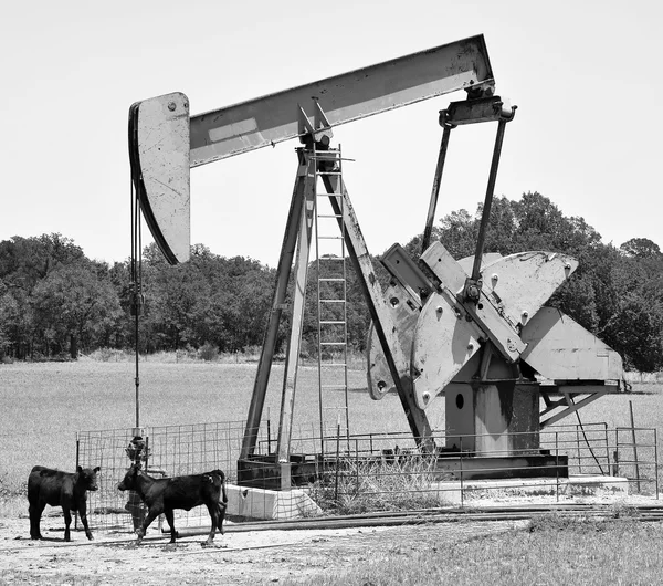 Bombeo de pozos petroleros Texas . — Foto de Stock