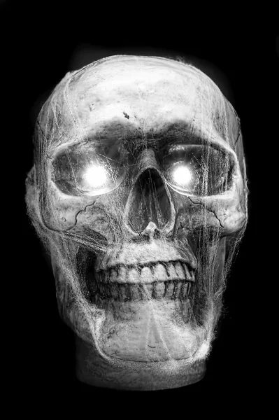 Crâne de fête d'Halloween . — Photo