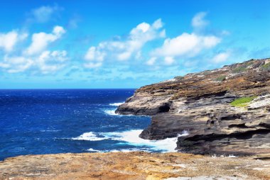 Büyük mavi Hawaii.
