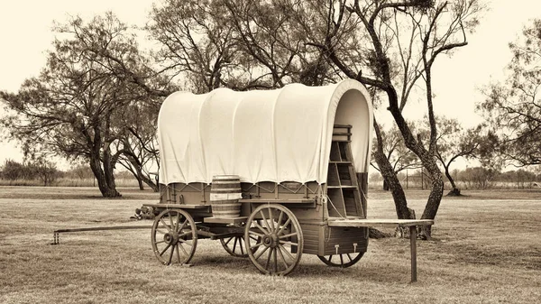 Viejo Vagón Cubierto Del Oeste Salvaje Texas Con Árboles Mezquite Imagen de archivo