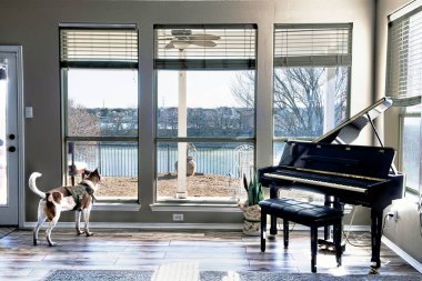 Dog looking out window at lake view and wishing he was outside.