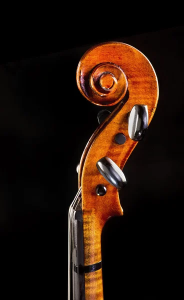 Violin Neck. — Stock Photo, Image