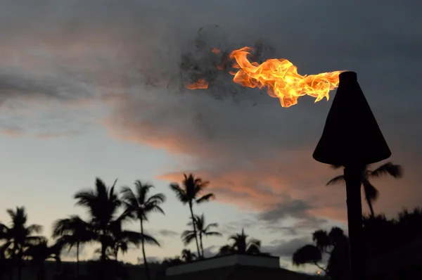 Torche d'Hawaï . — Photo