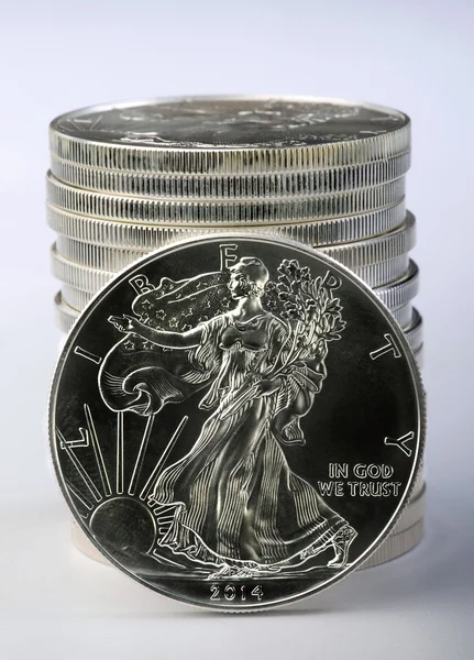 Silver Eagle. — Stockfoto