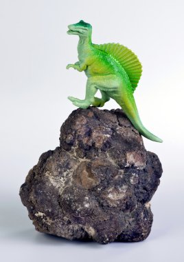 Dinozor kaka.