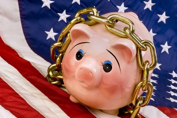 Amerykańskich inwestycji świnia. — Zdjęcie stockowe
