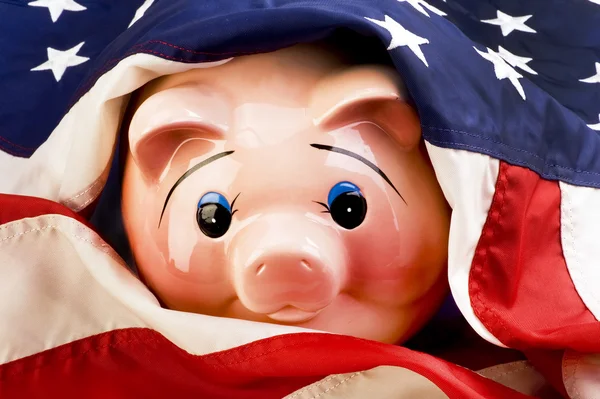 Amerikan yatırım domuz. — Stok fotoğraf