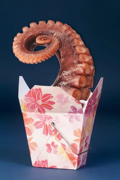 Octopus in een doos. — Stockfoto